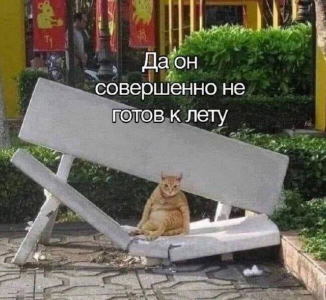 Баянко