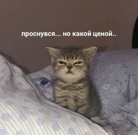 Баянко
