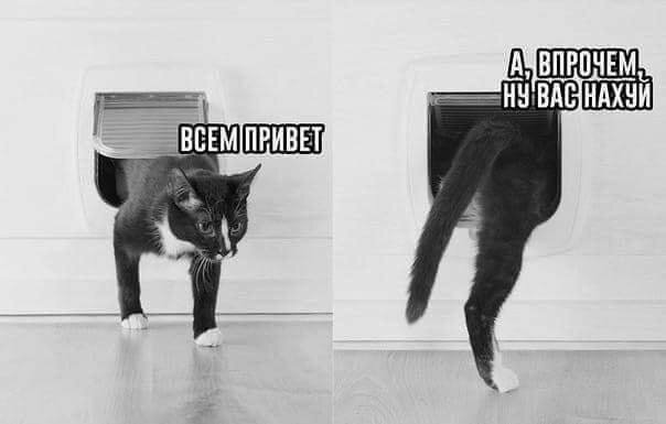 Баянко