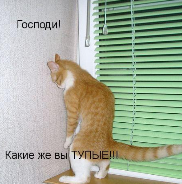 "Как хорошо уметь читать": пару слов о буквофобах на Авито