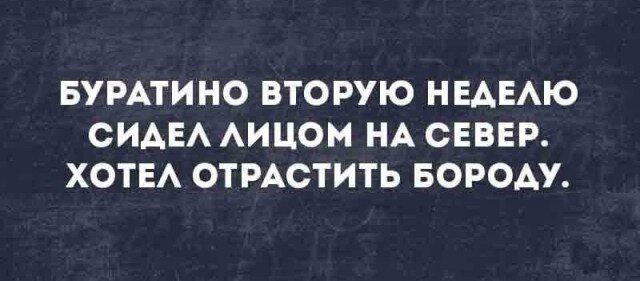 Баянистые выдерженные