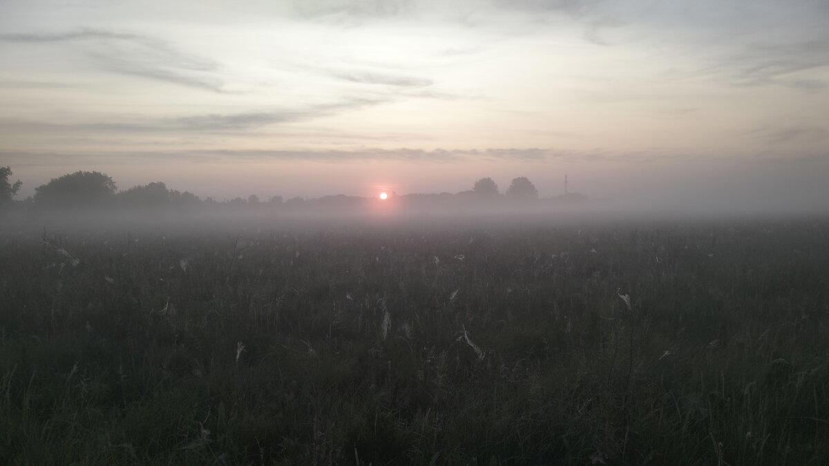 Прогулка в тумане...