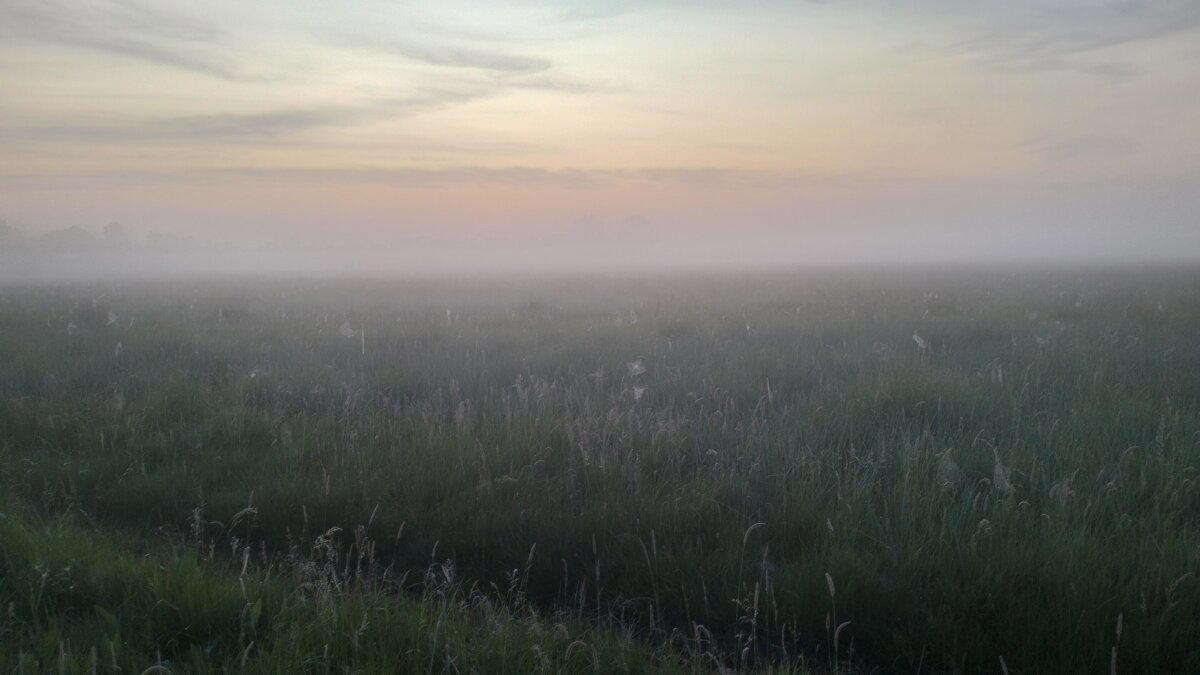 Прогулка в тумане...