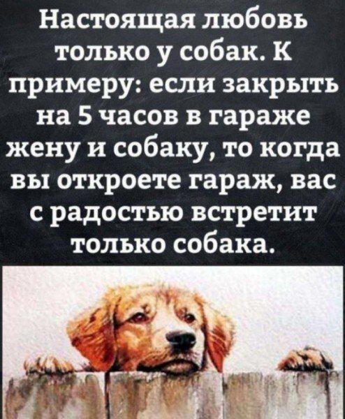 Попробуйте...