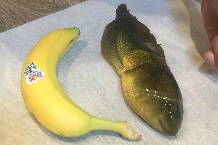1.