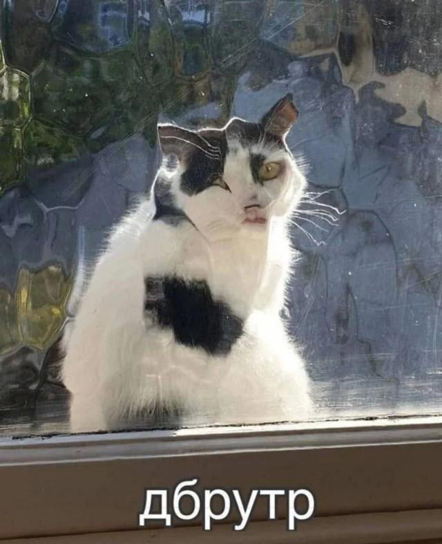И снова я
