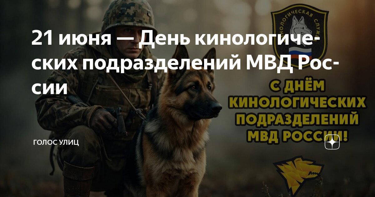 День кинолога