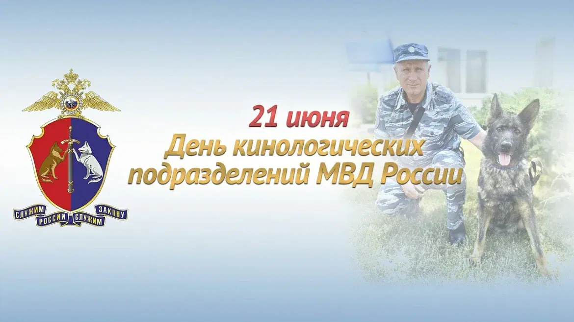 День кинолога