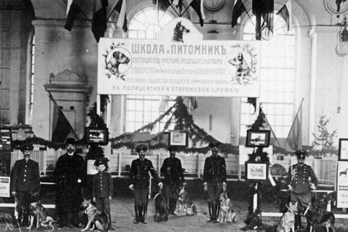 День кинолога