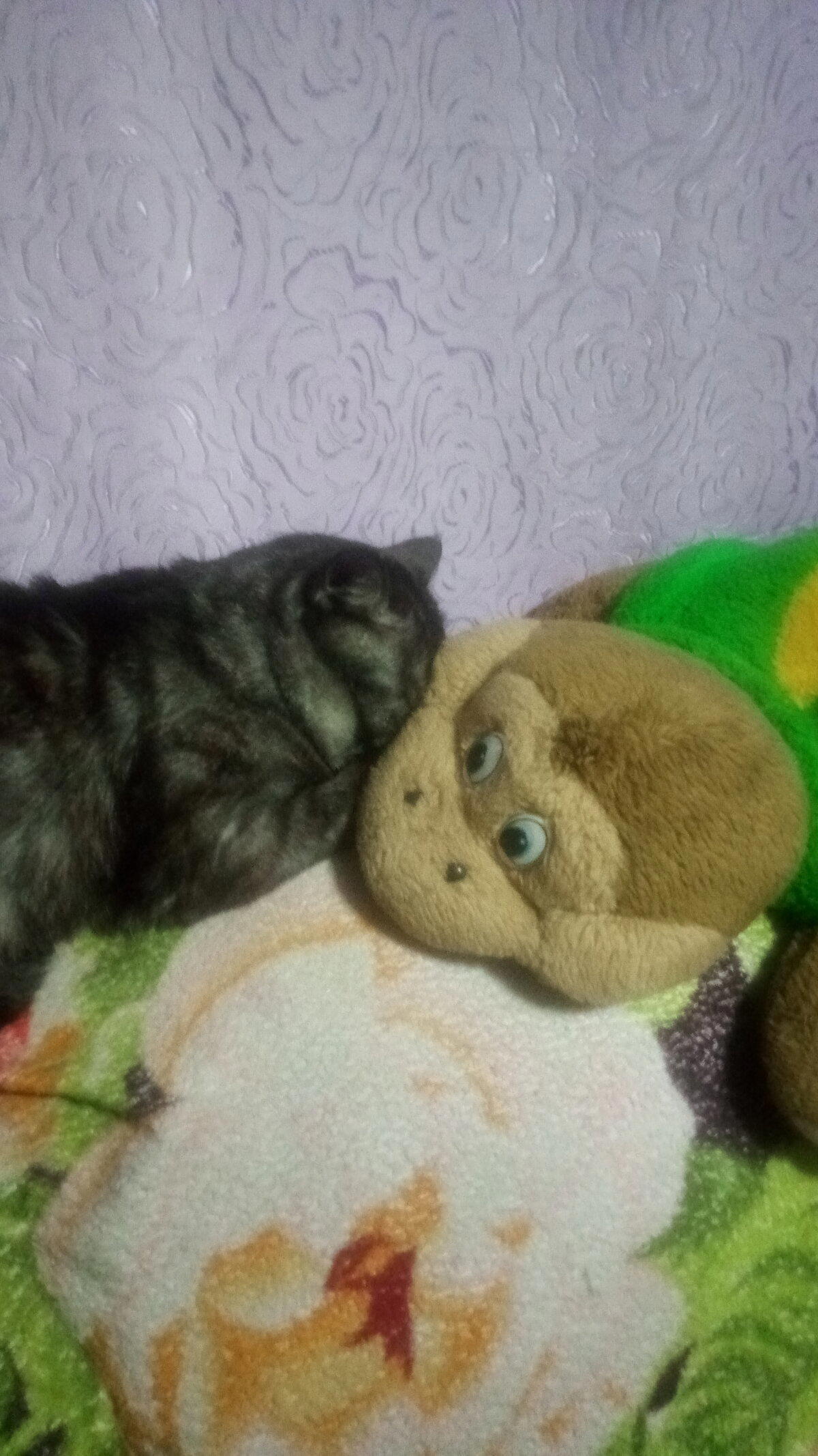 Барсик