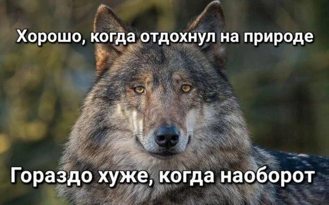 Выдержка за 4 дня