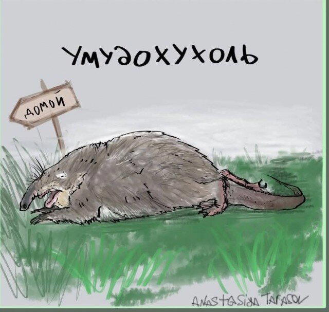 Выдержка за 4 дня