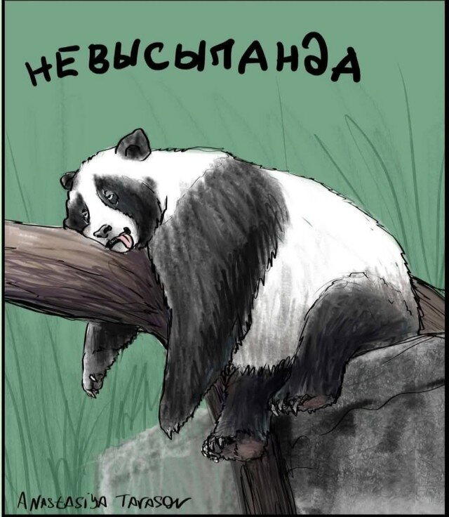 Выдержка за 4 дня
