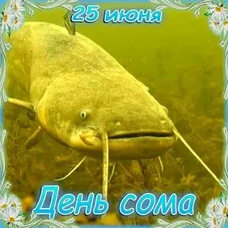 День сома