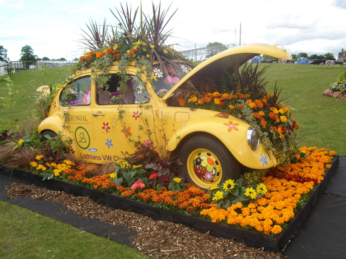 VW Beetle