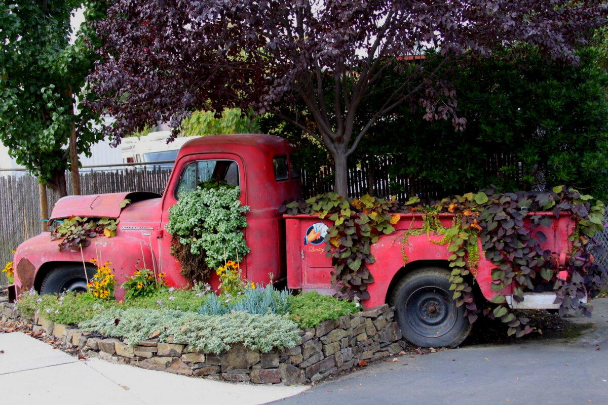 Пикап International Harvester 110