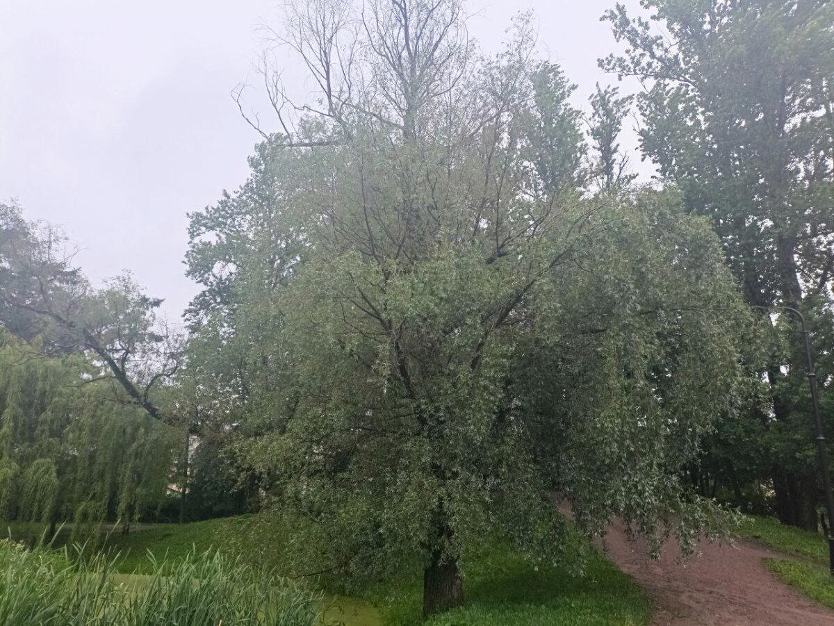 Улыбка сбежала от каменного лица. Мы нашли её через 100 км. Фото. Пейзажи.