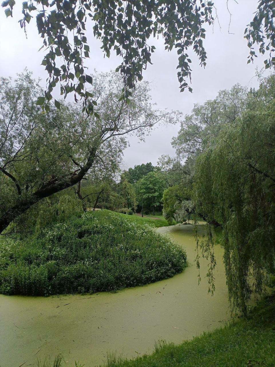 Улыбка сбежала от каменного лица. Мы нашли её через 100 км. Фото. Пейзажи.