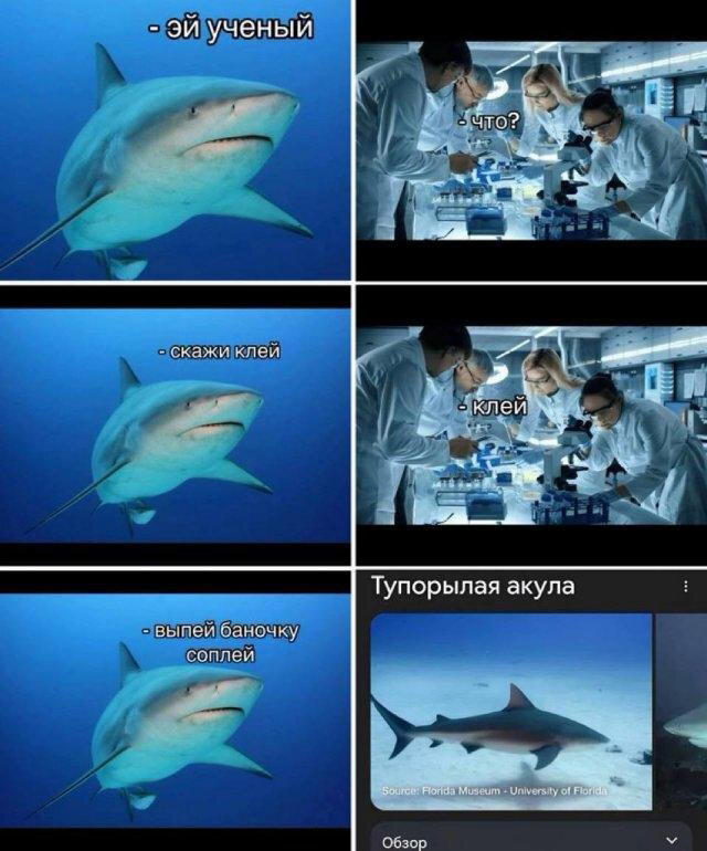 Немного скину