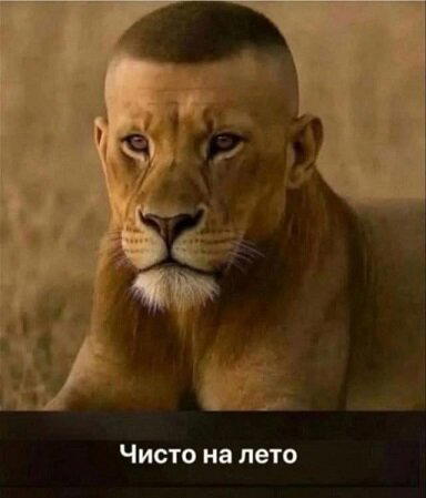 Немного скину