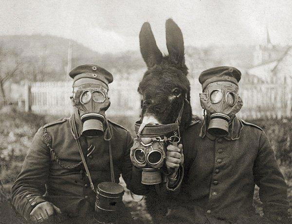 Немецкие солдаты с ослом готовы к газовой атаке. Первая мировая война, 1917 год
