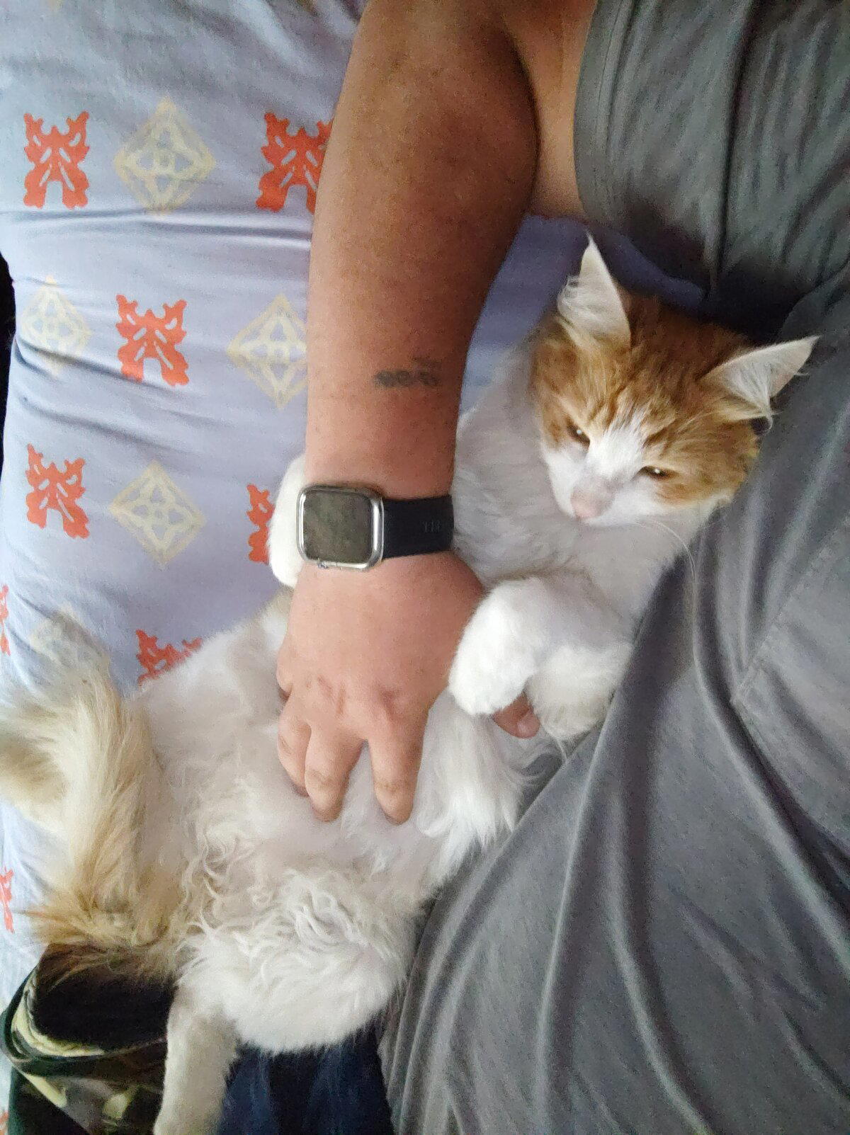 И пусть на улице дожди, нам с котом всё до п.....ды )))