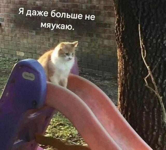 Субботние сохранённые