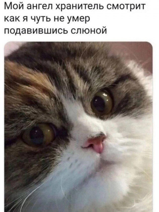 Субботние сохранённые