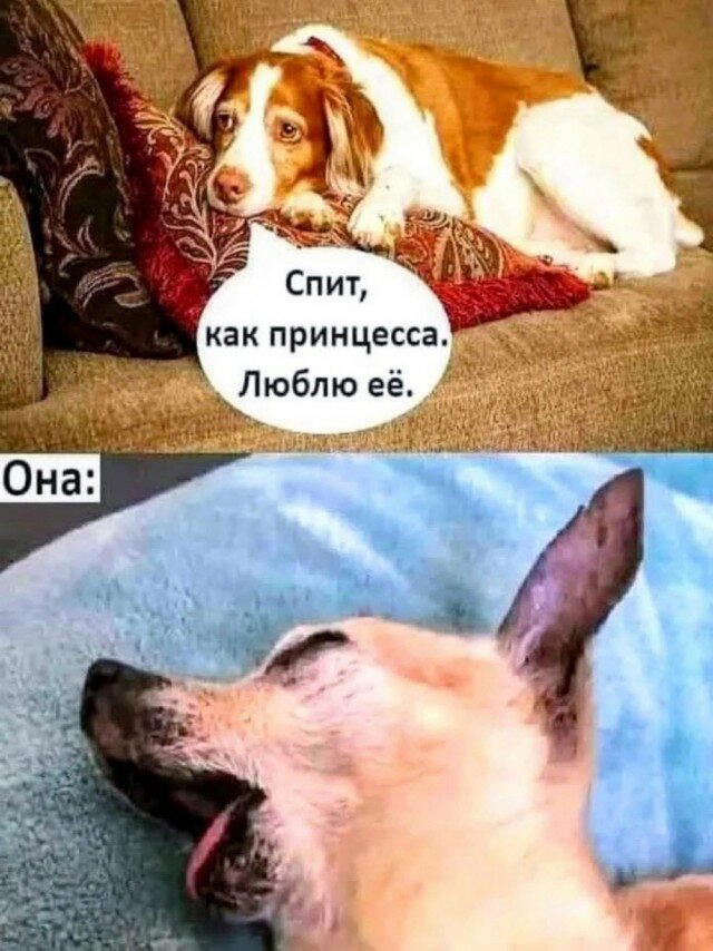 Субботние сохранённые