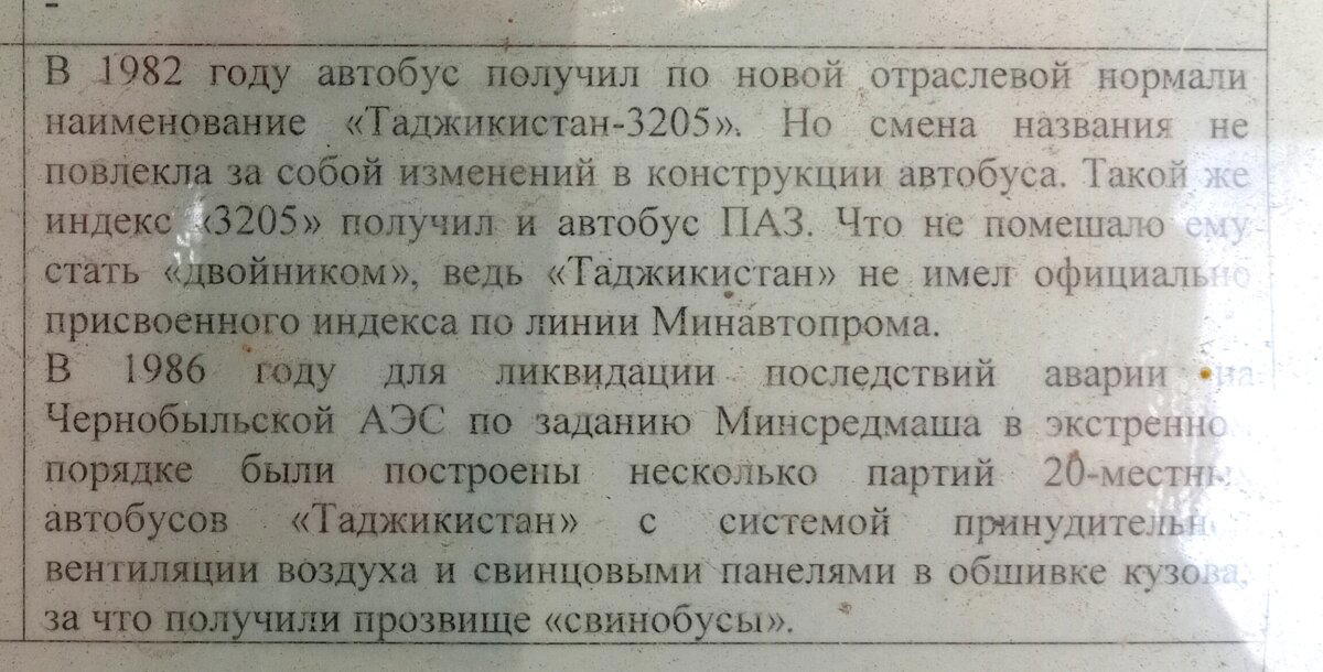 Все знают котобус, а что такое свинобус?