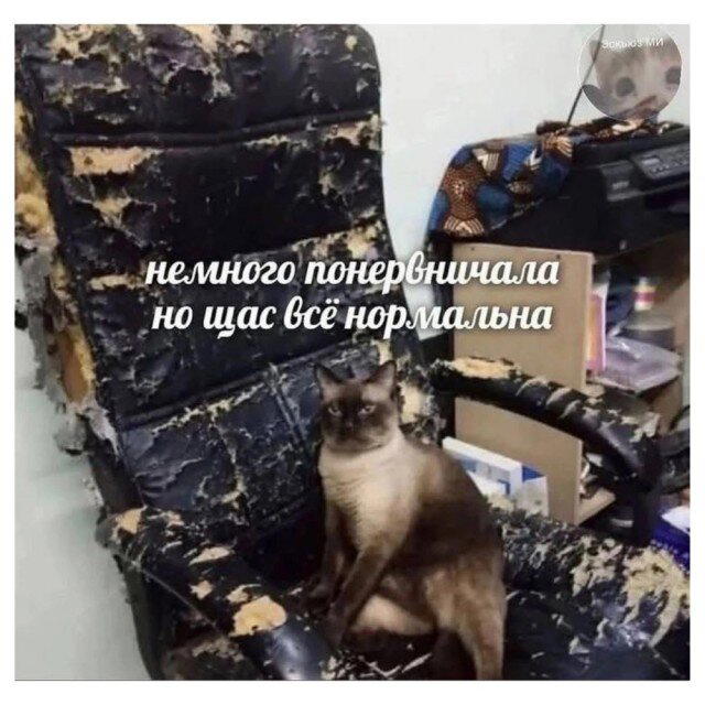 Субботний недельный сбор картинок