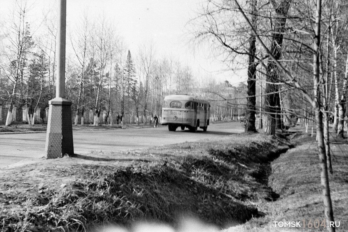Майский день 1961 г. на аллее пр. Ленина напротив Университетской рощи.