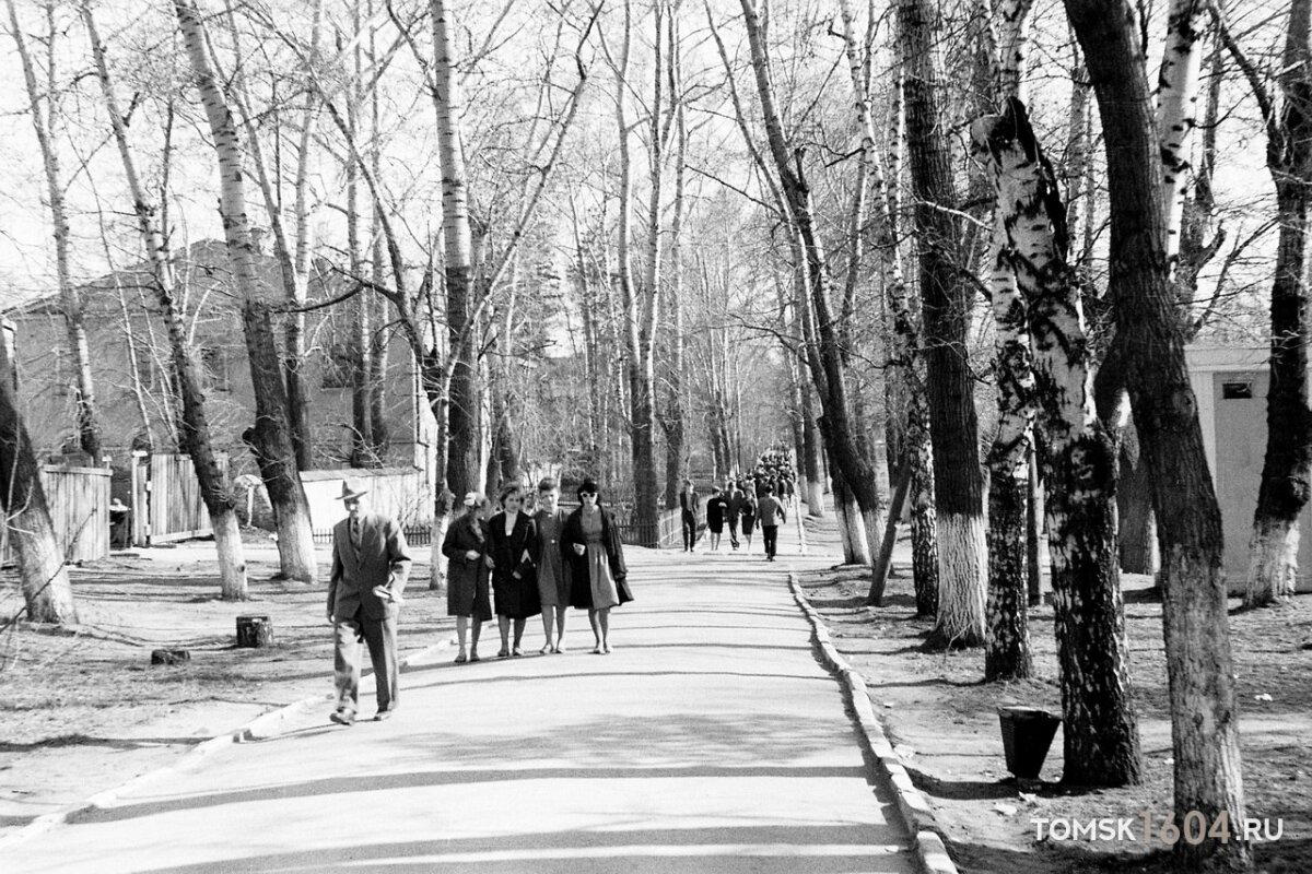 Майский день 1961 г. на аллее пр. Ленина напротив Университетской рощи.