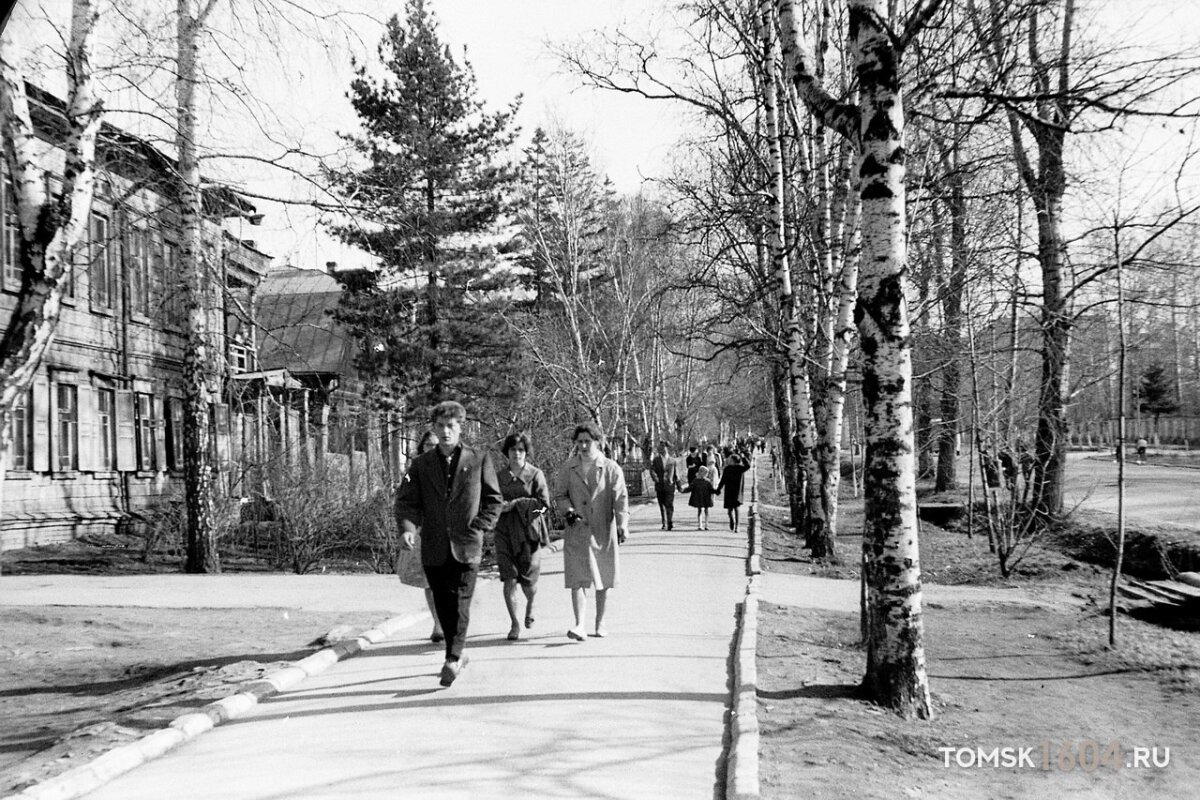 Майский день 1961 г. на аллее пр. Ленина напротив Университетской рощи.