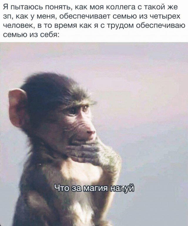 Сеня Дичь )))