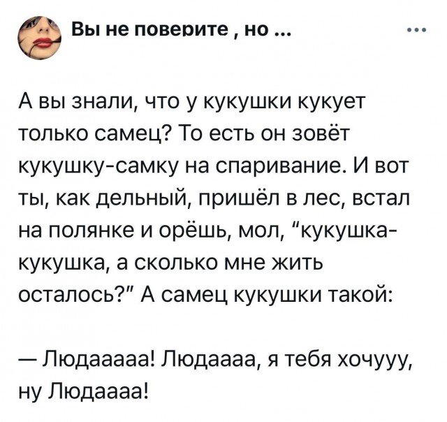 Сеня Дичь! Недельный сбор.