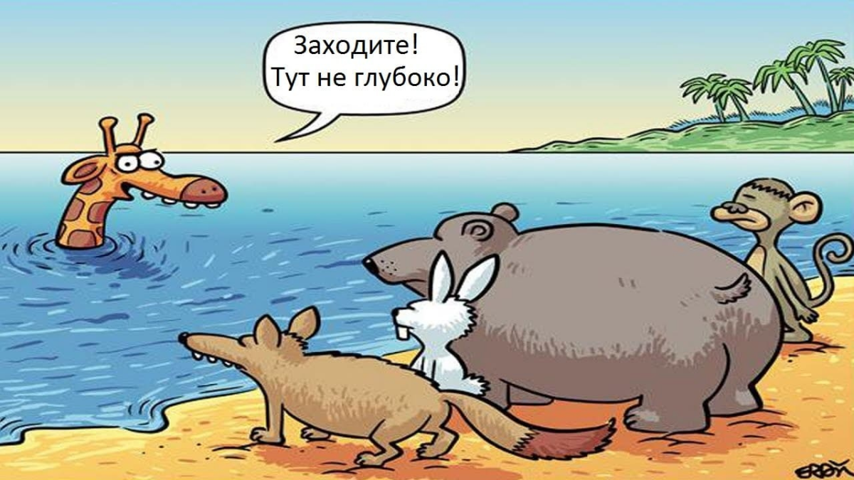 Когда люди рассказывают, как они за 3-6-9 месяцев изучили программирование