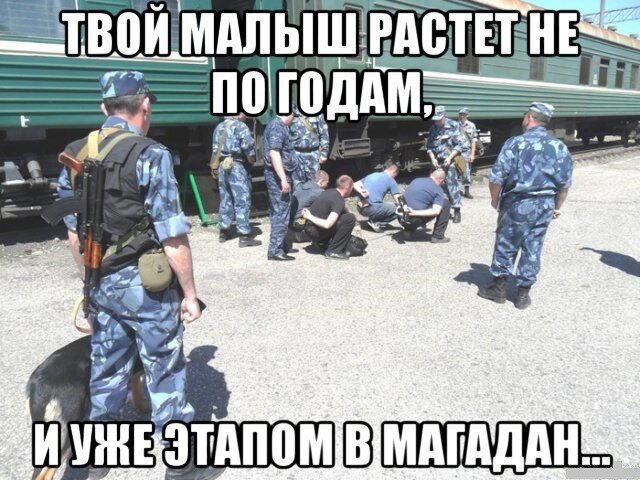 Срединная дичь
