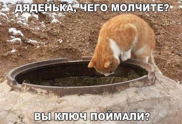 Срединная дичь