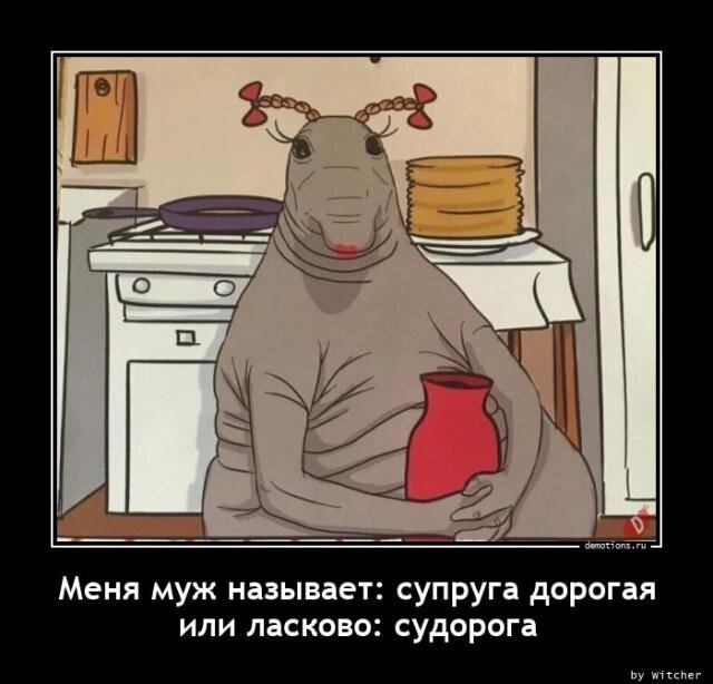 Срединная дичь