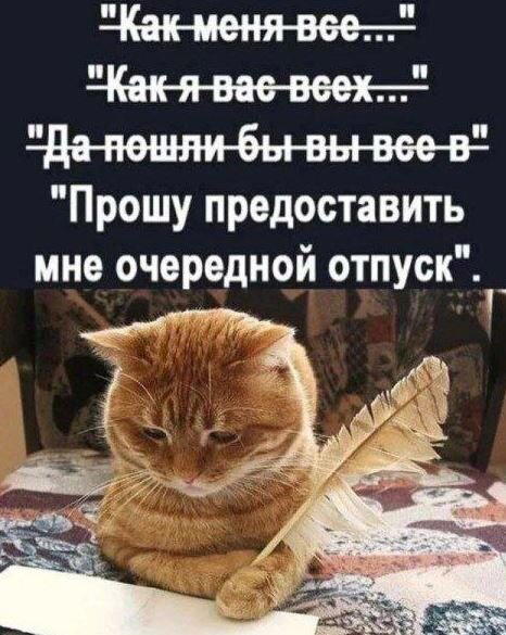 Дичка мелкая но кислая