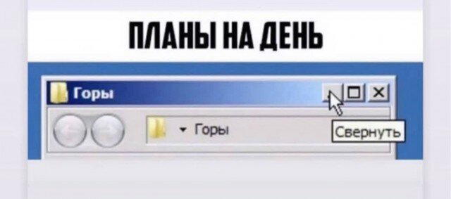Дичка мелкая но кислая