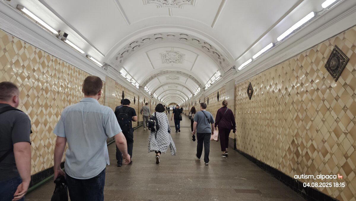 И вот я спускаюсь в метро и иду по этому длинному переходу от Площади Революции до Театральной