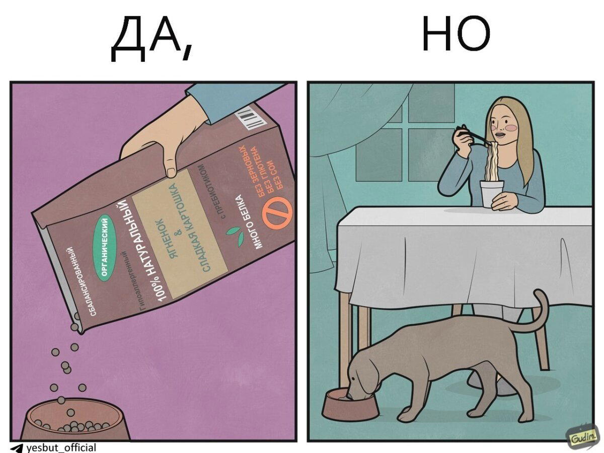 Рацион