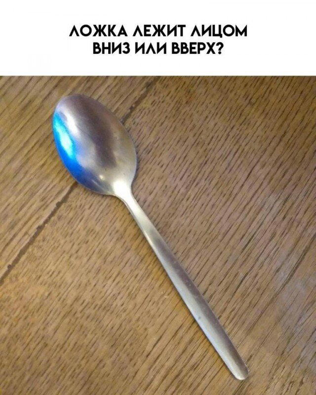 Дичка пятничная