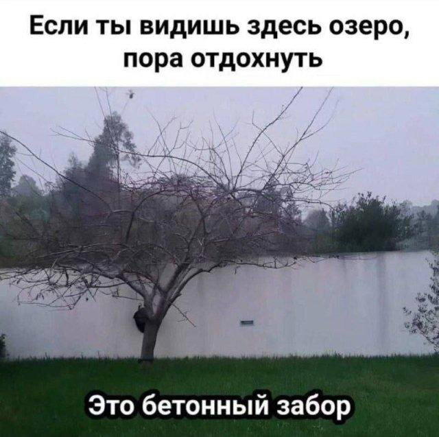 Дичка пятничная