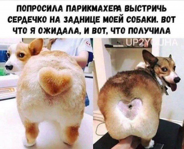 Дичка пятничная