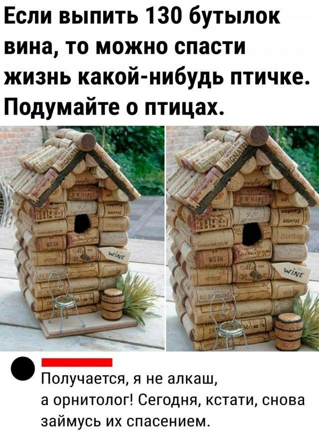 Дичка пятничная