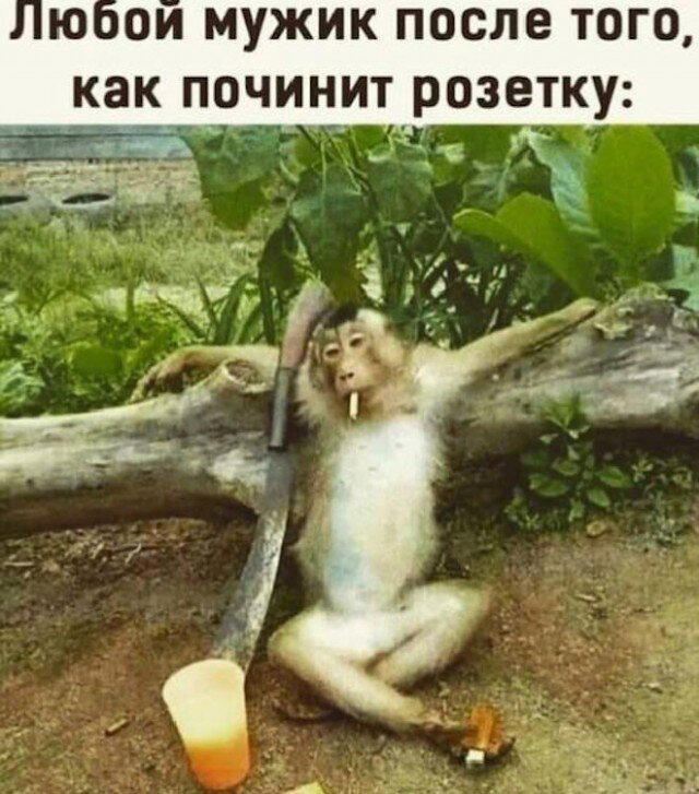 Дичка пятничная