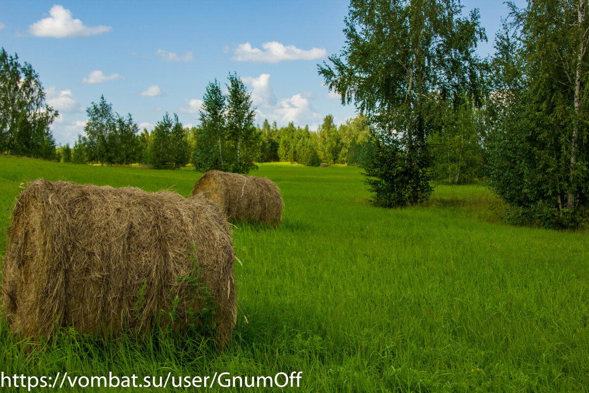 Рулетики пропитанные летом.